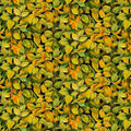WL Yellow Packed Leaves WP092322