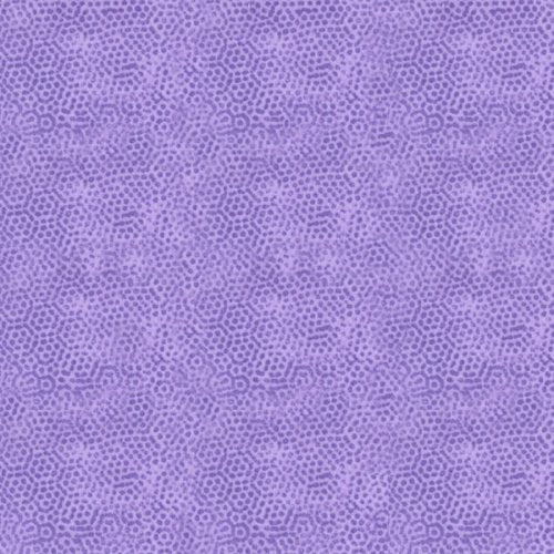 AN Dimples 1867 P4