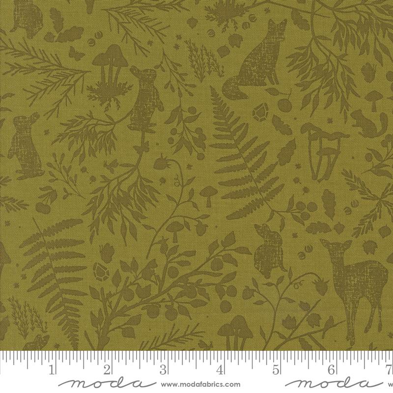 MO Frivolity Lichen 43192 14