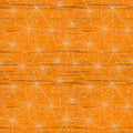 WL Orange Spiderwebs/Gnome-ster Mash