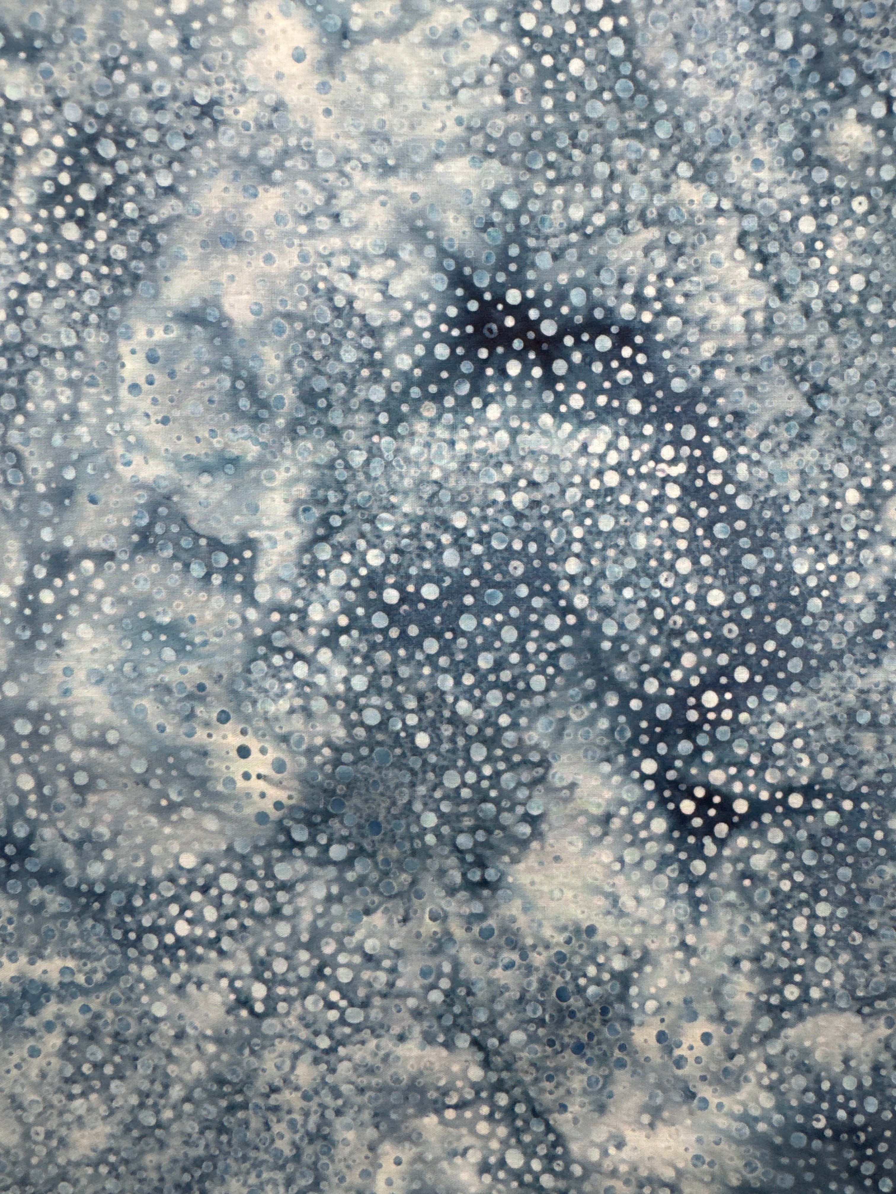 HO Sea Bubbles Denim