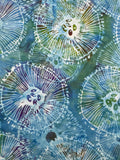 HO Amoeba Reef