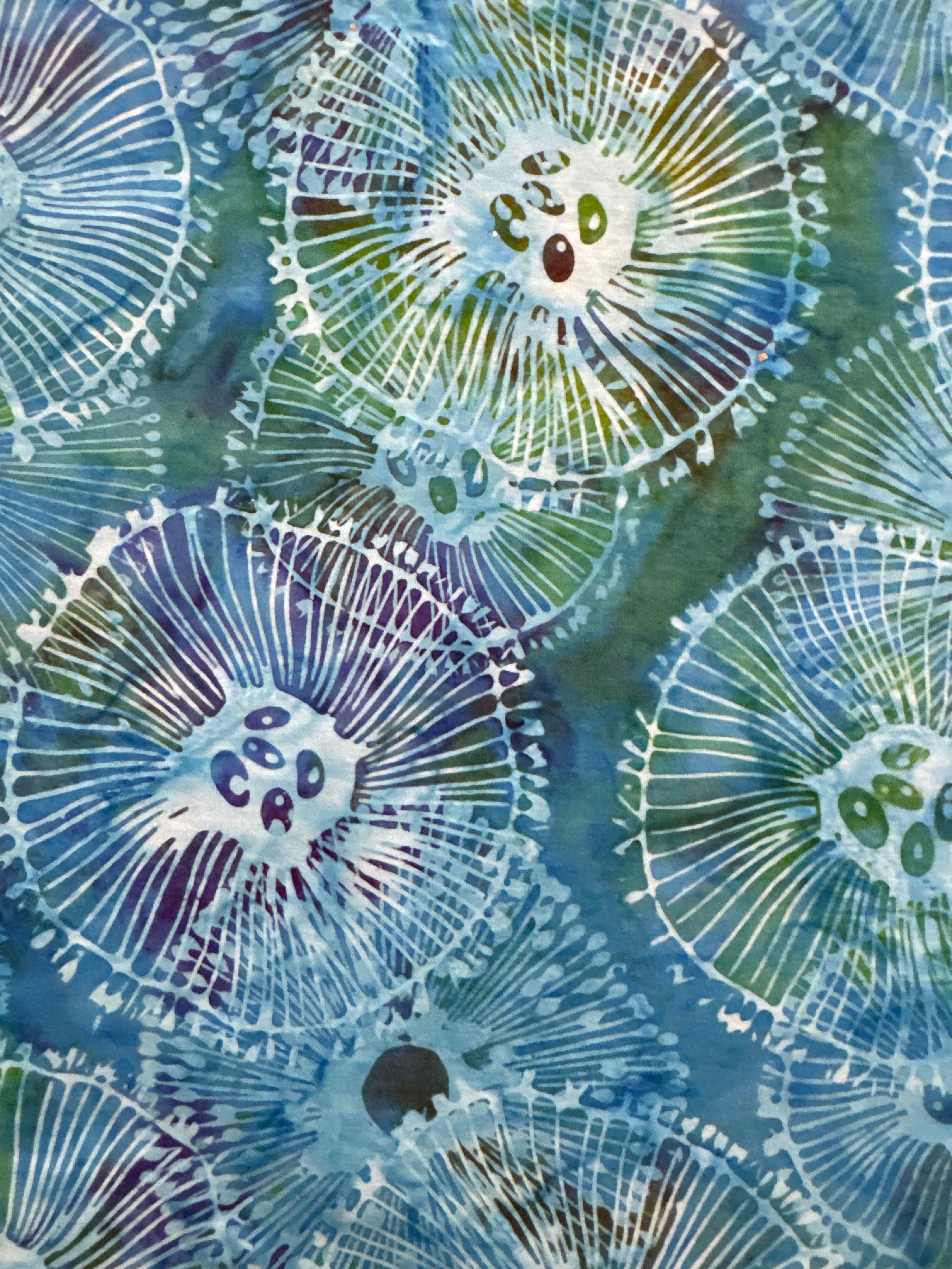 HO Amoeba Reef