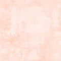 WL Dry Brush 89205 800 Pale Apricot