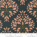 MO Peachy Midnight 38151 17