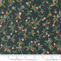 MO Peachy Midnight 38152 17