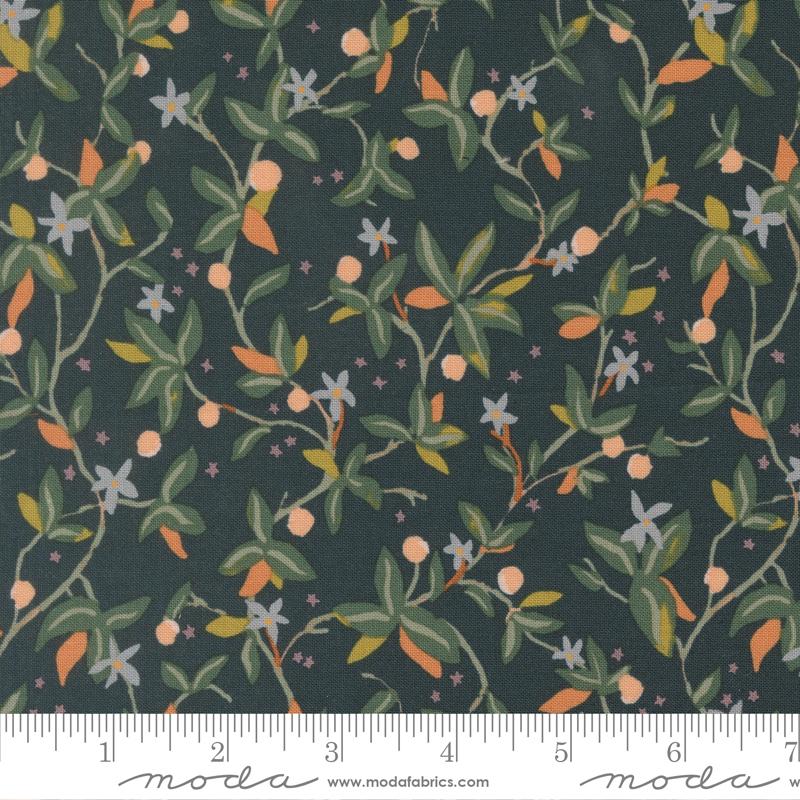 MO Peachy Midnight 38152 17