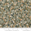 MO Peachy Sage 38152 22