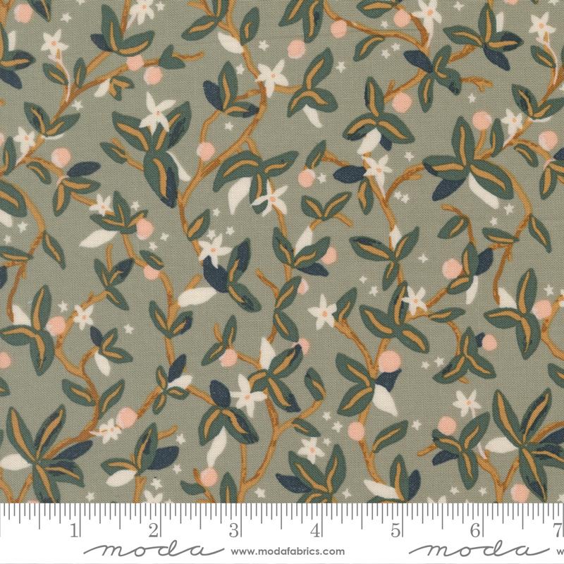 MO Peachy Sage 38152 22