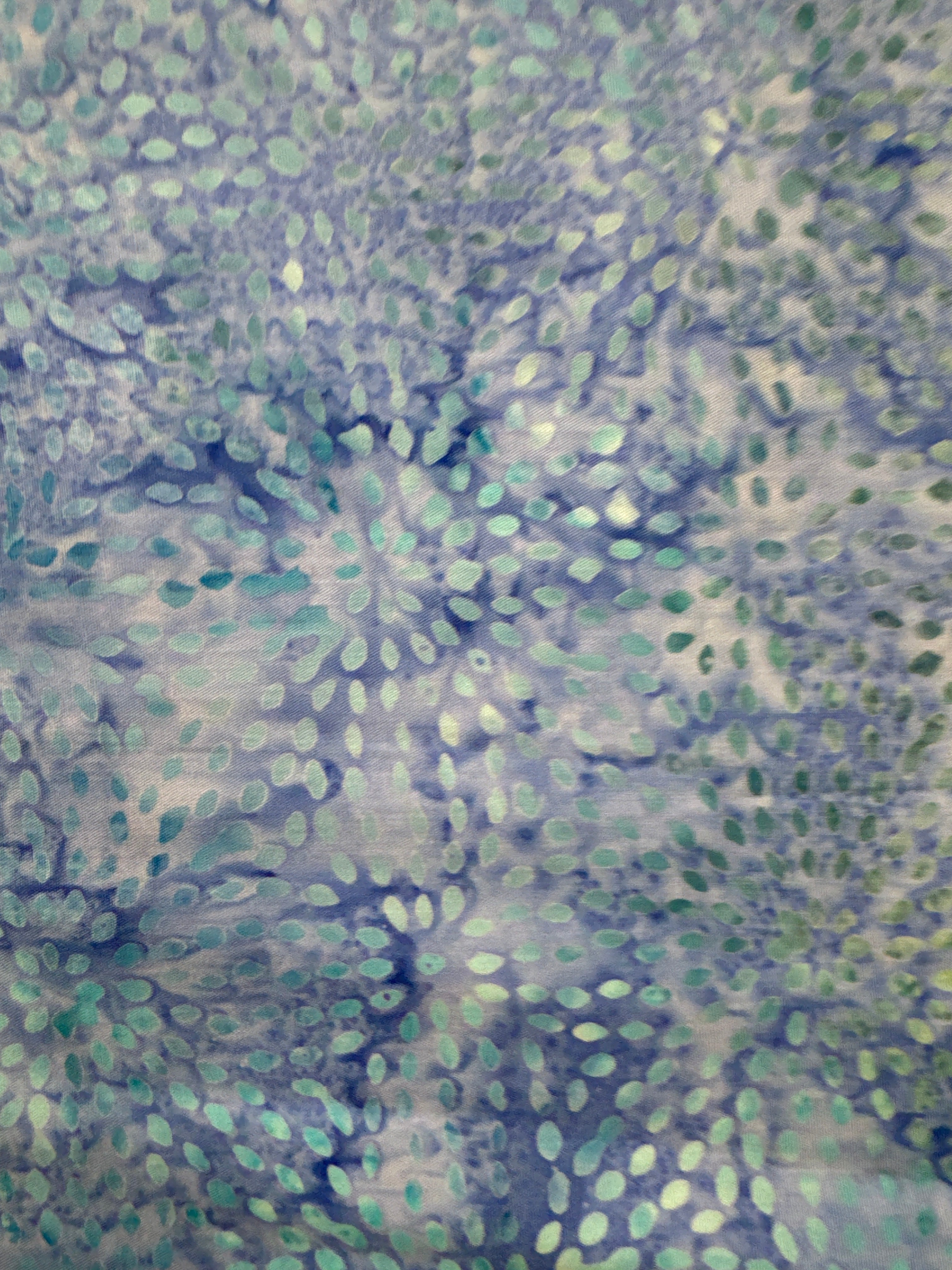 TT Tonga Ocean Sprits