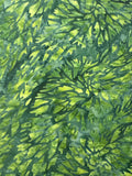 BB Changing Seasons Forest Green