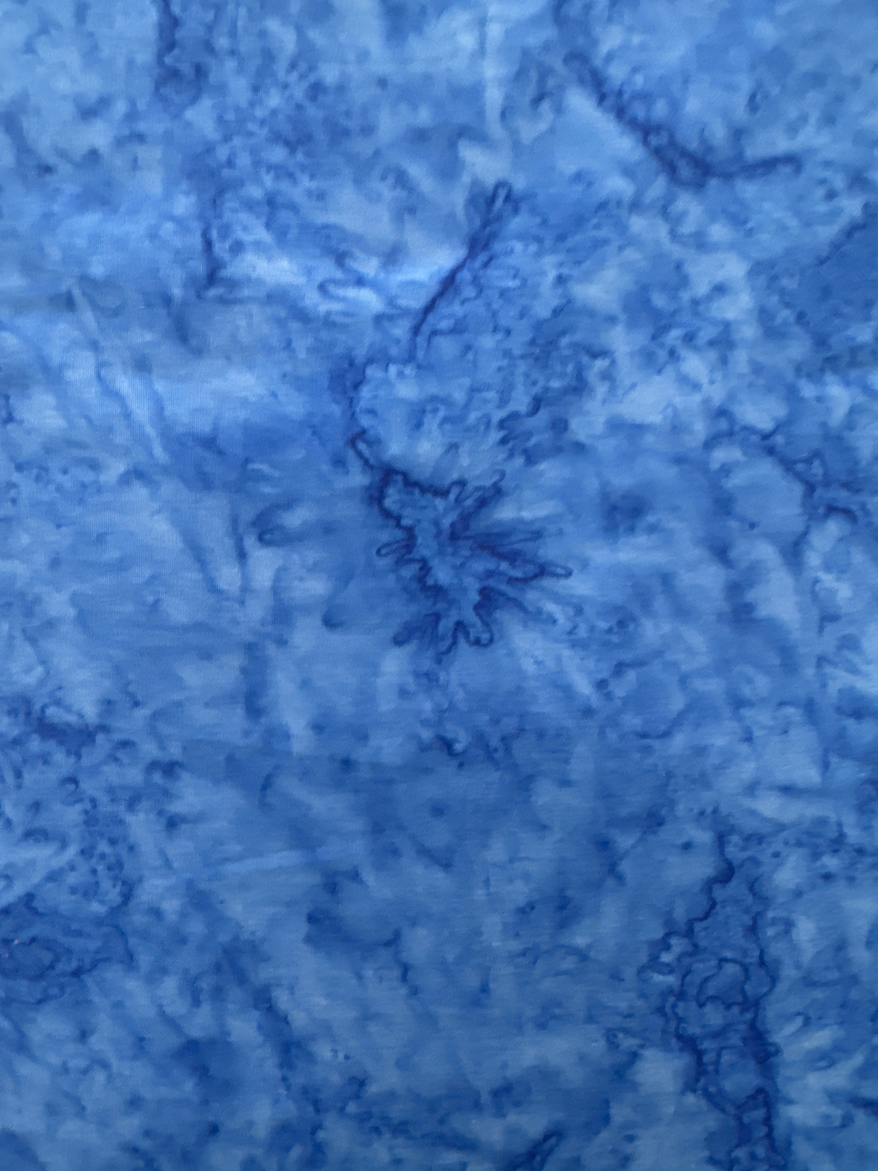 BB Banyan Shadows Got the Blues