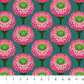 NC Anna Maria Strawflower Bursting