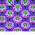 NC Anna Maria Strawflower Periwinkle