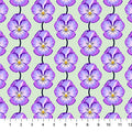 NC Anna Maria Pansy Lavender