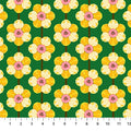NC Anna Maria Daffodil Verdant