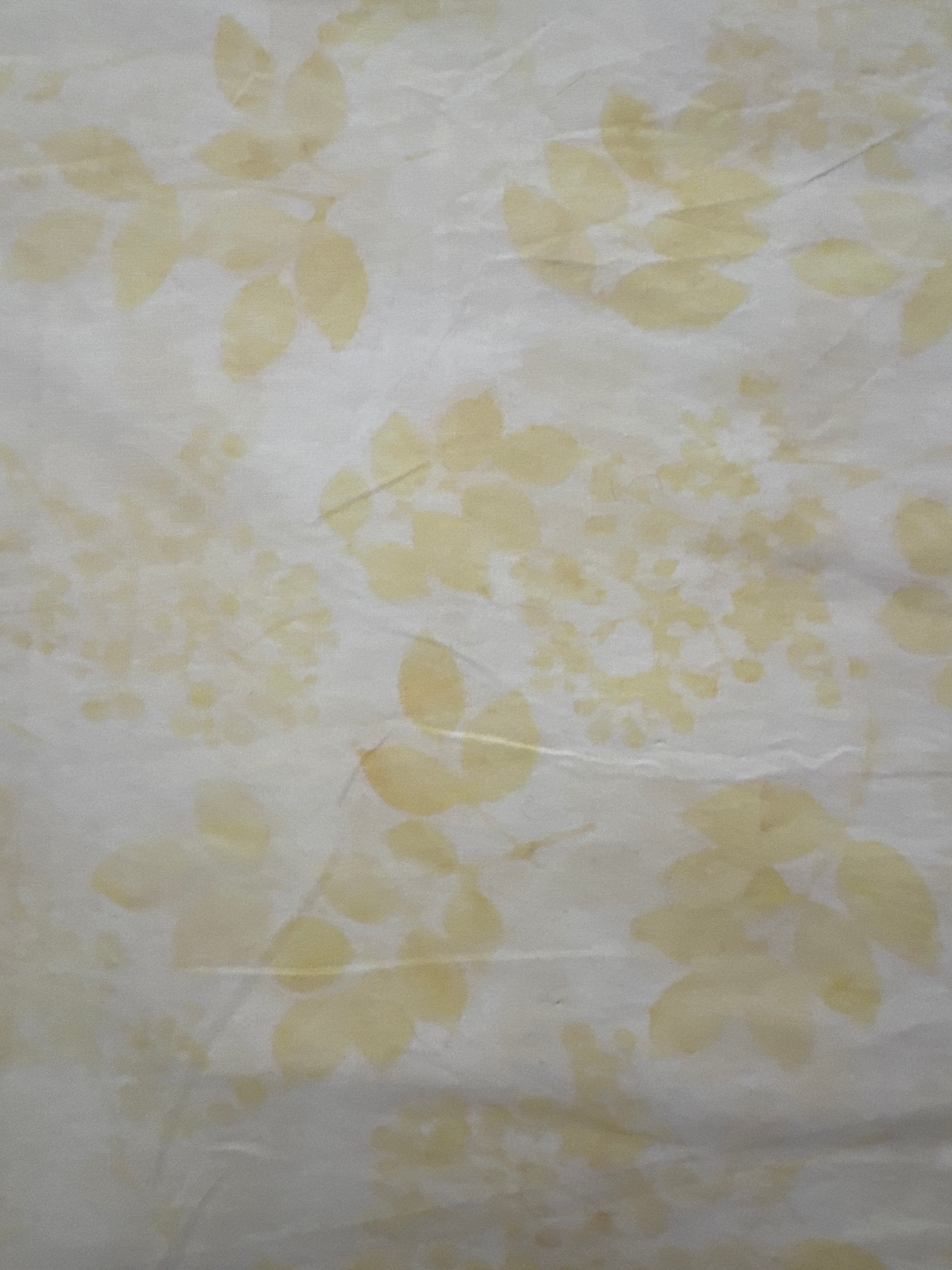 HO Gardenia Ivory