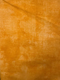WL Dry Brush Sunshine
