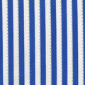 AF BeColourful-Blue