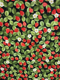 LI Flower Strawberries