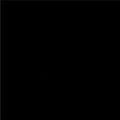 Black Bella Solids Cotton Wideback Fabric Per Yard