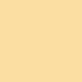 RB Confetti Cotton Solids Beehive