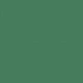 RB Confetti Cottons Cactus