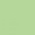 RB Confetti Cottons Leaf