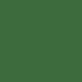RB Confetti Cottons Pickle