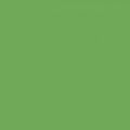 RB Confetti Cottons Riley Green