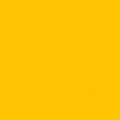 RB Confetti Cottons Riley Mustard