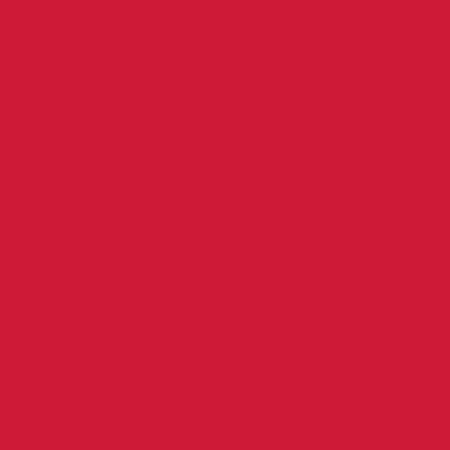 RB Confetti Cotton Solids Schoolhouse
