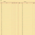 RB Journal Basics Ledger Paper Yellow