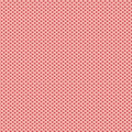 RB Mercantile Dearest Coral
