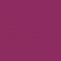 RB Little Witch Lace Magenta