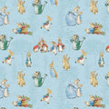 RB The Tale of Peter Rabbit Main Blue