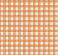 RB Pumpkin Spice Pumpkin C14995