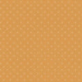 RB Cider Sparkle Americana-Lori Holt