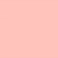 SF Blossom Solid Cuddle 90in Wide