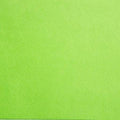 SF Dark Lime Cuddle Solid 90in Wide