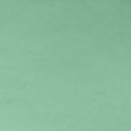 SF Spearmint Solid Cuddle 90in Wide
