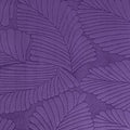SF Amethyst Cuddle Extra Wide Tropic