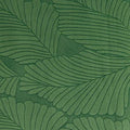 SF Basil Cuddle Tropic 88/90