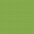 RB Texture In Color Turtle