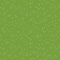 RB Blossoms In Color Holly