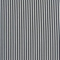 TT Black/White Stripe C8109