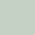 RB Modern Farmhouse C9466 Sage Tiny Plus