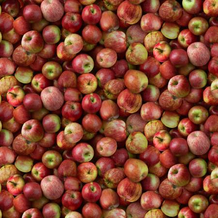 TT Red Packed Evercrisp Apples