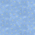 TT Owl Always Love You Sky Shooting Stars CD3242