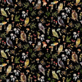 CW Wild Wonder Owls Black